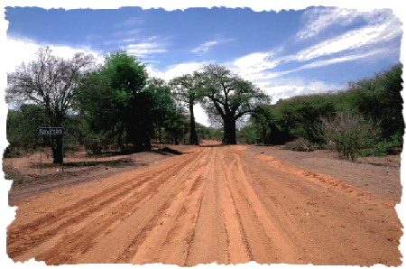 Botswana Classique court